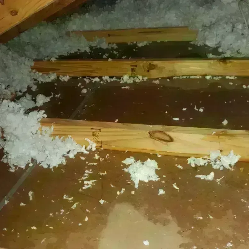 Attic Water Damage in South Brooksville, FL